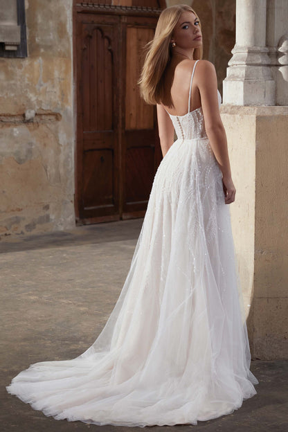Angelina (11307)